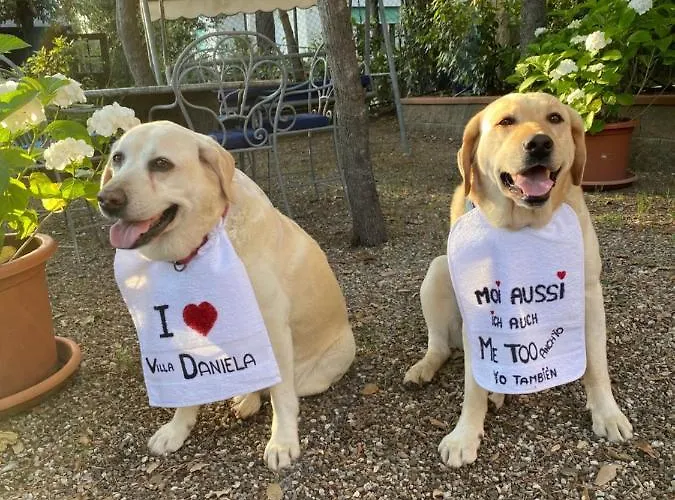 ベッド・アンド・ブレックファスト Daniela