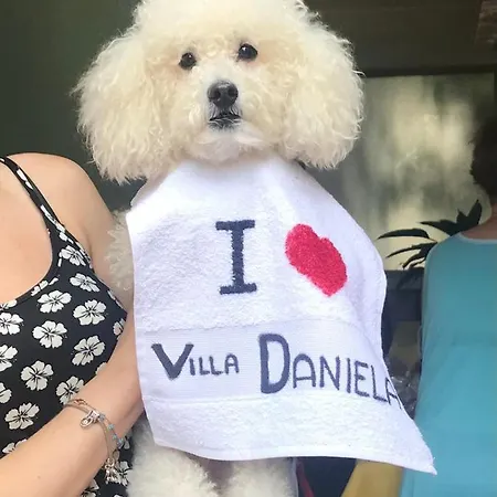 Daniela فندق مبيت وإفطار كويرشانيلا