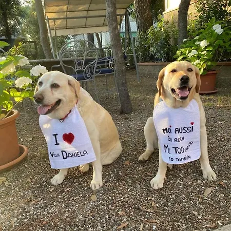 فندق مبيت وإفطار Daniela